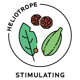 Essential Oil Blend Stimulating (Black Pepper Cardamom Bay Laurel)-0